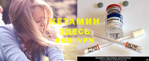 спиды Богданович